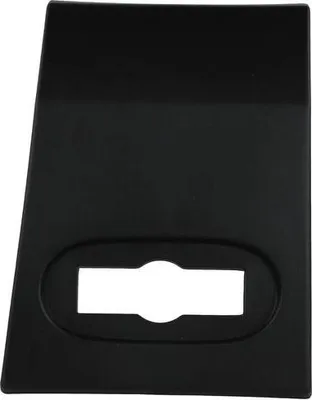 Obrázek produktu pro Obložení/ochranná lišta, boční panel od Fast (FT90832) Obložení/ochranná lišta, karoserie