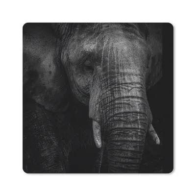 Produktbild von MuchoWow® Mauspad Mousepad Elefant - Tier - Porträt 30x30 cm - Mousepads - Maus Mat - Pad - Mausunterlage - Gaming
