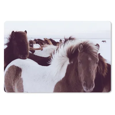 Produktbild von MuchoWow® Schreibtischunterlage Pferde - Schnee - Island 60x40 cm - XXL Mauspad - Großes Mauspad