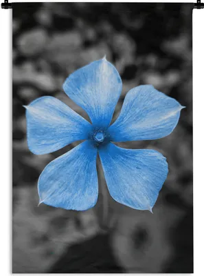 Produktbild von MuchoWow® Wandteppich Wandbehang Blumen - Blau - Schwarz - Weiß 120x180 cm Tapisserie Dekoration Wandtuch - Schlafzimmer - Dekorationen für das Haus
