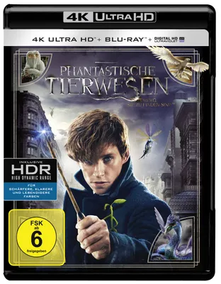 Produktbild von Phantastische Tierwesen und wo sie zu finden sind - 2 Disc Bluray