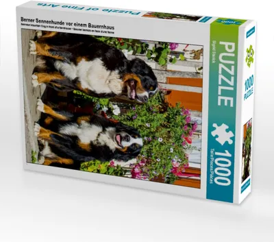 Produktbild von CALVENDO Puzzle Berner Sennenhunde vor einem Bauernhaus | 1000 Teile Lege-Größe 64x48cm Foto-Puzzle für glückliche Stunden