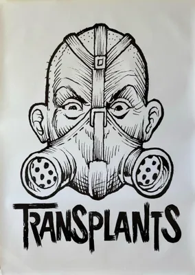 Zdjęcie produktu dla TRANSPLANTACJE - Plakat - 64x90 cm