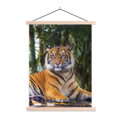 Produktbild von MuchoWow® Textilposter Tiger - Tiere - Wald - Dschungel 120x160 cm mit holzfarbenen Rahmen - Plakatkarton