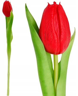 Obrázek produktu pro Umělá tulipánová květina, červená, silikonová, realistická umělá květina, 31 cm, jarní dekorace