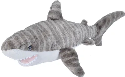 A stuffed toy tiger shark is shown against a white background.