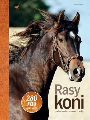 Productafbeelding van Rasy koni