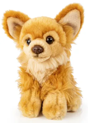 Produktbild von Uni-Toys - Chihuahua braun, sitzend - 18 cm (Länge) - Plüsch-Hund - Plüschtier, Kuscheltier