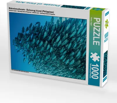 Produktbild von CALVENDO Puzzle Makrelenschwarm - Balicasag Island (Philippinen) | 1000 Teile Lege-Größe 64x48cm Foto-Puzzle für glückliche Stunden
