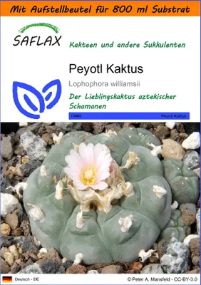 Produktbild von SAFLAX - Garden in the Bag - Kakteen - Peyotl Kaktus  - 20 Samen - Mit Anzuchtsubstrat im praktischen, selbst aufstellenden Beutel - Lophophora williamsii