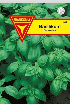 Produktbild von Basilikum Genoveser