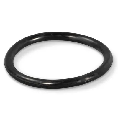 Produktbild von O-Ring für Astral, Swim-tec Unterwasser Scheinwerfer