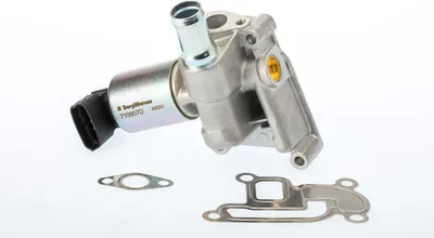 Image de Soupape AGR BORG WARNER 710957D