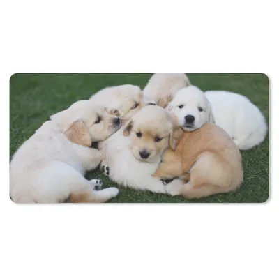 Produktbild von MuchoWow® Mauspad Mousepad Tiere - Welpen - Hunde 60x30 cm - Mousepads - Maus Mat - Pad - Mausunterlage - Nachhaltig