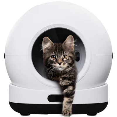 Produktbild von Zedar K1200 - Automatische Katzentoilette - Selbstreinigende Katzentoilette - Inkl. App - Mit Katzenstreumatte und 3 Rollen Auffangbeutel - 82L XXL