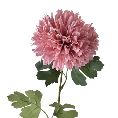 Produktbild von Clayre & Eef Kunstblume 54 cm Rosa Kunststoff