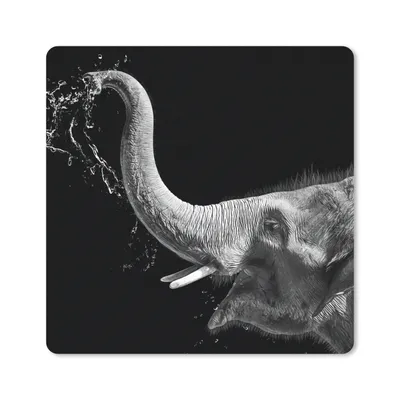 Produktbild von MuchoWow® Mauspad Mousepad Porträt - Elefant - Tiere - Schwarz und weiß 30x30 cm - Mousepads - Maus Mat - Pad - Mausunterlage - Gaming