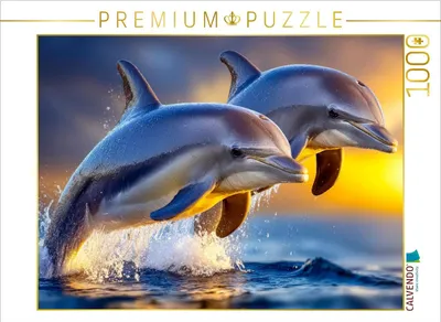 Produktbild von CALVENDO Puzzle Synchronspringen | 1000 Teile Lege-Größe 64x48cm Foto-Puzzle für glückliche Stunden
