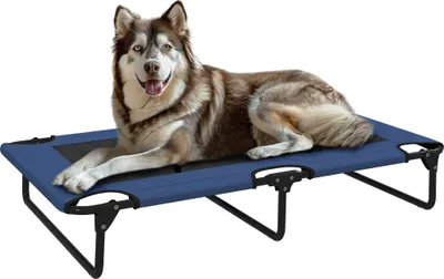 Image de PawHut Lit surélevé pour chiens pliable rafraîchissant, lit de camp pour animaux en maille respirante pieds en acier pour intérieur extérieur 107 x 61 x 20 cm bleu foncé