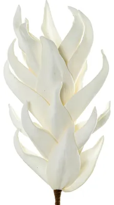 Immagine prodotto di Set DRW composto da 6 foglie artificiali realizzate in schiuma di EVA e carta bianca, alte 65 cm. Dimensioni: 65 cm
