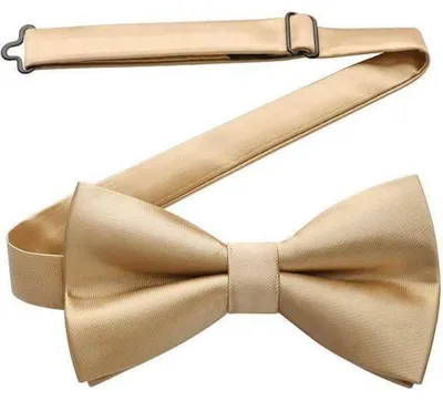Immagine prodotto di Fascia da uomo, già annodata, regolabile, motivo paisley, color champagne, con decorazioni floreali