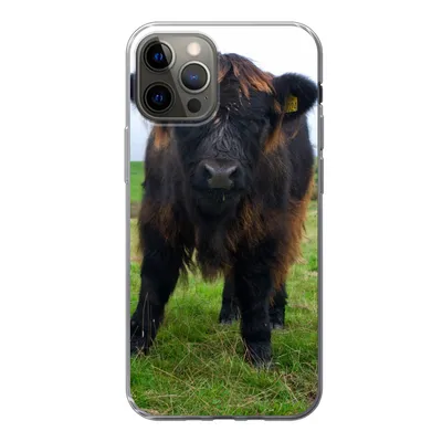 Produktbild von MuchoWow® Handyhülle Schutzhülle Hülle für iPhone 12 Pro Schottische Highlander - Kühe - Natur - Grün - Gras Silikon Softcase Handy Hülle - Abdeckung
