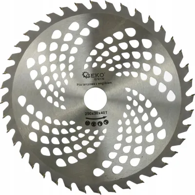 Image de Disque de scie 250 mm 40T 30 mm 40183