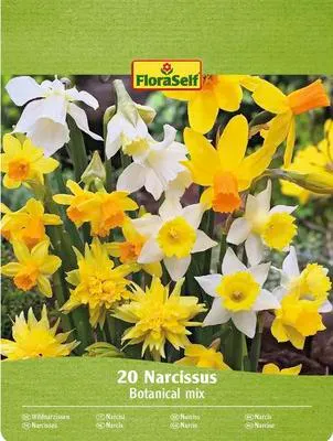 Obrázek produktu pro Narcisy FloraSelf 'Botanický mix' 20 ks