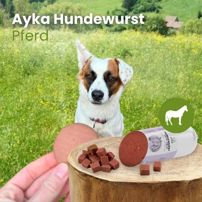 Produktbild von Ayka Hundewurst Pferd 1 Stück 400g