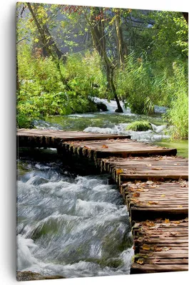 Produktbild von Bild auf Leinwand - Leinwandbild - Einteilig - Park natur grün bäume - 70x100cm - Wand Bild - Wanddeko - Wandbilder - Leinwanddruck - Wanddekoration - Leinwand bilder - Wandbild - PA70x100-0356