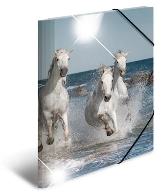 Produktbild von HERMA Sammelmappe A4 Glossy Pferd Polypropylen