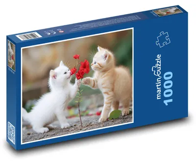 Produktbild von Puzzle 1000 Kätzchen mit Blume - martinpuzzle
