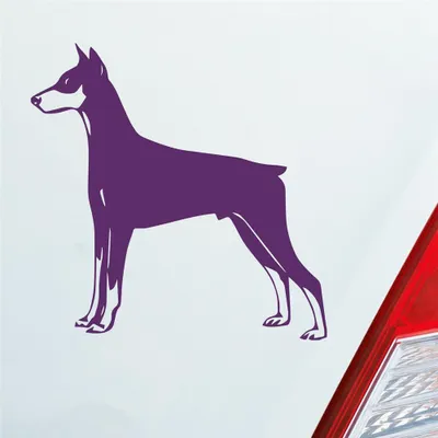 Produktbild von Auto Aufkleber Dobermann Hund Dog Animal Tier 10x10 cm Lila Sticker Heckscheibenaufkleber