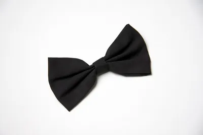 Produktbild von Fliege, ca. 12 cm, schwarz