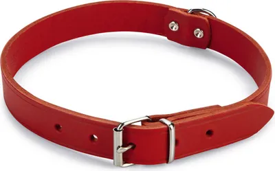 Produktbild von Beeztees - Hundehalsband - Leder - rot - 47-57 cm x 25 mm