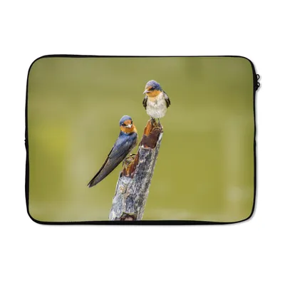 Produktbild von MuchoWow® Laptop Hülle 13 Zoll Vögel - Zweig - Porträt Laptoptasche - Laptophülle - Sleeve - Rundumschutz