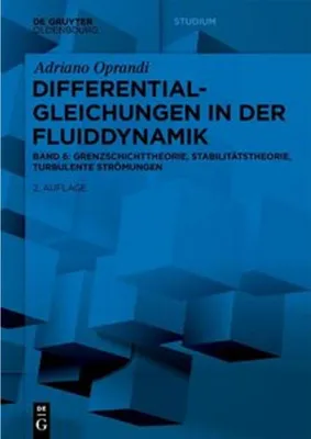 Produktbild von Differentialgleichungen in der Fluiddynamik