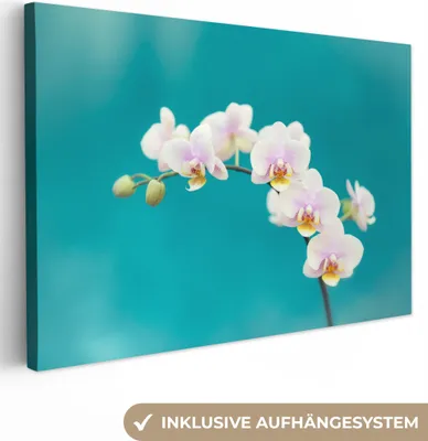 Produktbild von OneMillionCanvasses® - Leinwandbilder - 140x90 cm, Orchidee - Blumen - Pflanze - Weiß - Lila, Wandbilder Kunstdruck Wanddekoration