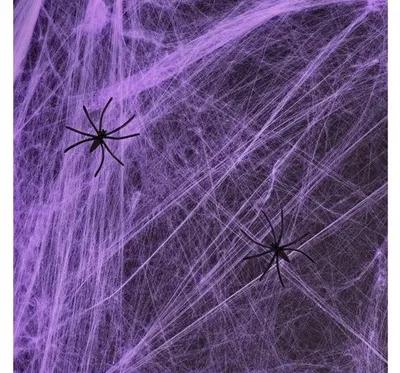 Produktbild von PartyPal Lila Halloween-Spinnennetz Dekoration mit Spinnen