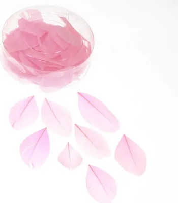 Produktbild von 144 echte Gänsefedern ca. 5cm Federn Bastelfedern Schmuckfedern Streudeko, Farbe:rosa