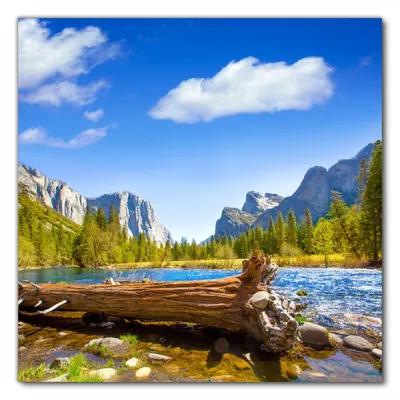 Produktbild von Wallario selbstklebende Möbelfolie/ Tischdecke für Innen und Außen, Größe: 60 x 60 cm - Baumstamm im Fluss zwischen Bergen und Wäldern