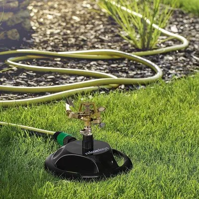 Image de Arroseur de jardin d'été