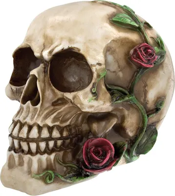 Image de Modèle de crâne humain grandeur nature avec roses en résine naturelle Inoffensif Durable Style unique pour les décorations d'Halloween à domicile