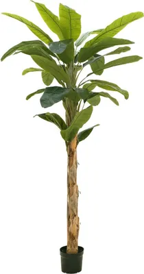 Image de EUROPALMS Bananier, plante artificielle, 210cm (82509507)