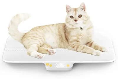 Produktbild von Tierwaage Haustierwaage Babywaage - 6 g bis 30 kg - Digital - Weiß
