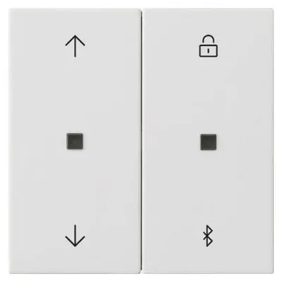 Imagen del producto de GIRA S3000 - Persianas enrollables + Temporizador 536727 - Bluetooth 55 rw m