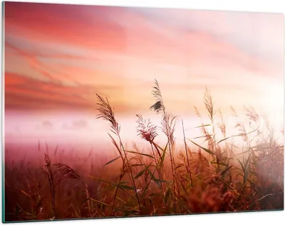 Produktbild von Bilder auf glas - Wiese Getreide Natur - 120x80cm - Glasbilder - Wandbilder - Kunstdruck - zum Aufhängen bereit - Wanddekoration aus Glas - Glas Bilder - Wandbild auf Glas - Einteilig - GAA120x80-3530
