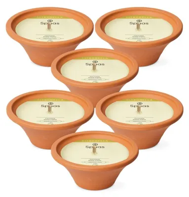 Produktbild von Spaas Citronella Noble Flame Outdoor-Kerze im Terrakotta-Schale Ø15cm - 6 Kerzen