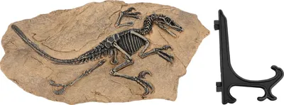 Produktbild von Dinosaurier-Skelett-Fossilienfigur, Kunstharz, hohe Simulationsmodellstatue für Studienbüro