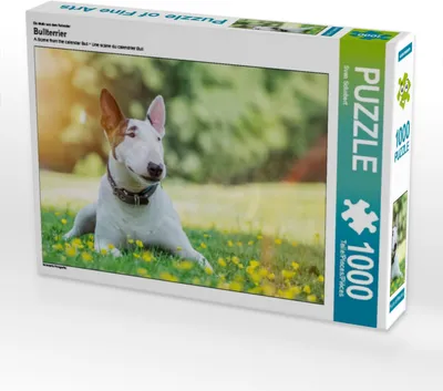 Produktbild von CALVENDO Puzzle Ein Motiv aus dem Kalender Bullterrier | 1000 Teile Lege-Größe 64x48cm Foto-Puzzle für glückliche Stunden